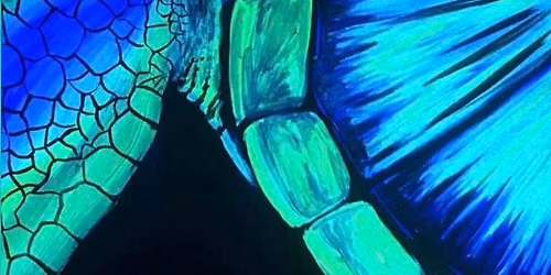 Paint Night with Stacey Miller
