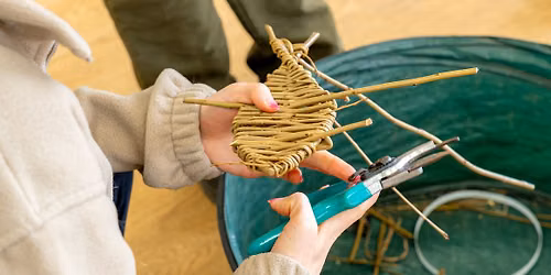 Willow Weaving Workshop