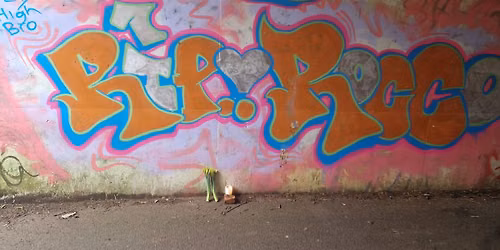 Roccos Day 
