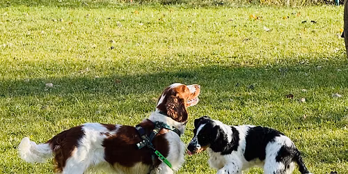 Vod\u00edtkov\u00e9 komunika\u010dky s Lenkou