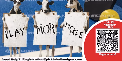 2025 Pickleball Recreational Tournament