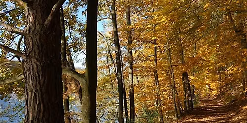 Schlaubetal Wild South: The Ultimate Autumn Hiking Adventure