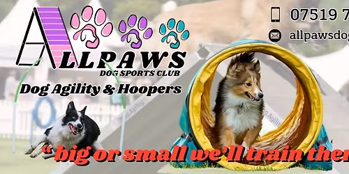 April Foundation Agility Course