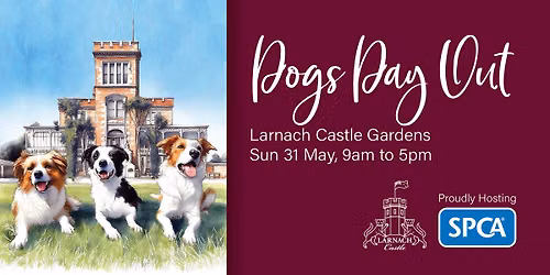 Dogs Day Out