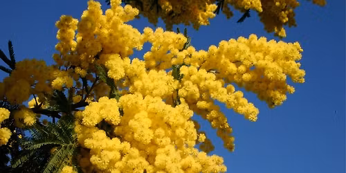 Open dag 29 augustus