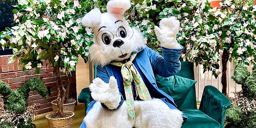 Photos with Bunny 2026