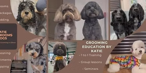 Creative\/Asian Seminar with Opawz Creative Grooming Expert Katie Darcey