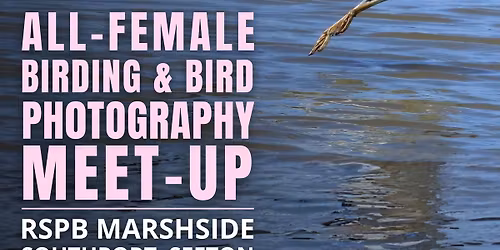 All-Female Birding & Bird Photography Morning