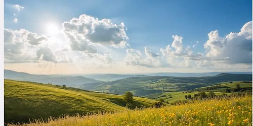 A Day To Pause and Connect