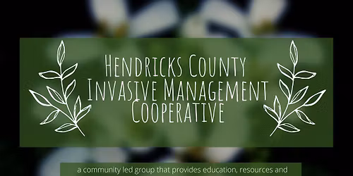 Pecar Nature Park W**d Wrangle 