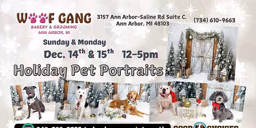 Woofgang Holiday Pet Portraits