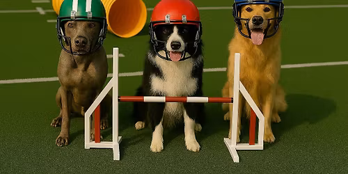 Southern MI Weimaraner Club November Agility Trial