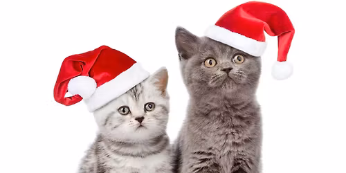 Pet Photos with Santa