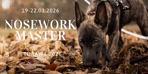 \u274c BRAK MIEJSC \u274c NOSEWORK MASTER CAMP \u2013 TURAWA 2026