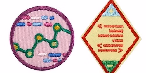 ONLINE GIRL SCOUT WORKSHOP: PROGRAMMING BASICS