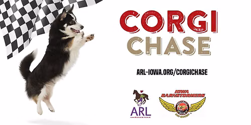ARL Corgi Chase