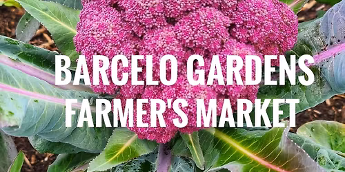 Barcelo Gardens Farmer's Market (9th Ward Garden Location)