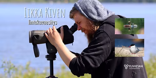 Iikka Kiven lintukuvaesitys: Suomen katoavat linnut