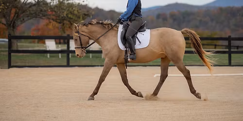 Double Edge Dressage Shows #4
