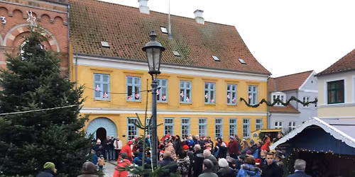 Juletræet på Torvet tændes🌟