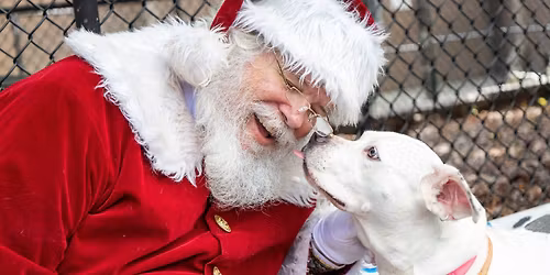 Yappy Hour | Home for the Holidays