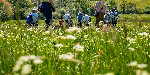 Ranger's Ramble across Mapperton Wildlands - A Guided Safari