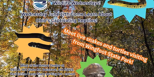 Wildlife Wednesdays at Alum Creek State Park: Ohio\u2019s Captivating Reptiles