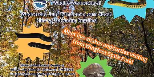 Wildlife Wednesdays at Alum Creek State Park: Ohio\u2019s Captivating Reptiles