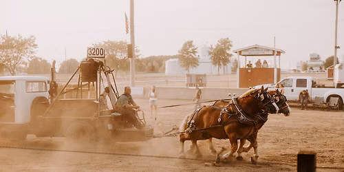 Draft Horse Pulls @ LOF Grandstand