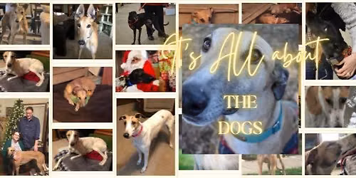 Adoption Event - Earthwise Pet