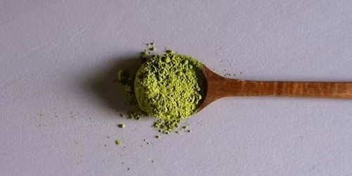 Matcha Tea Tasting | House of Healing Apothecary