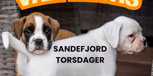 Valpekurs Sandefjord Torsdager