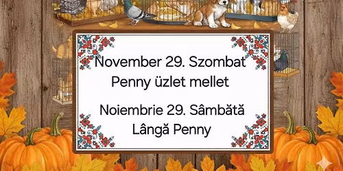 Kis állat kiálitás