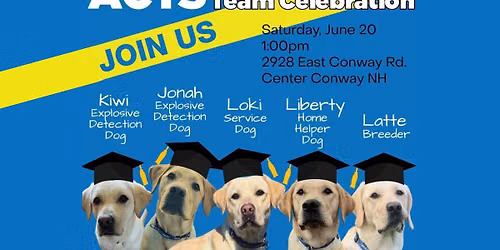 Team Celebration - Kiwi, Jonah, Loki, Liberty, and Latte