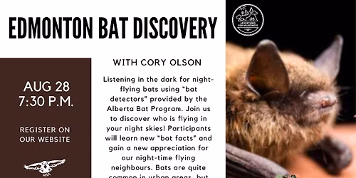 Edmonton Bat Discovery