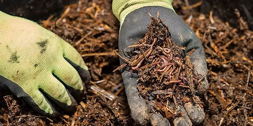Vermicomposting Workshop at Filbert Street Garden