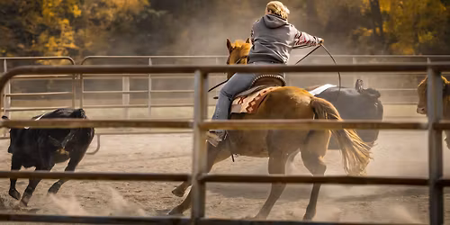 WESTERN WEEKEND and LINE DANCE DINNER