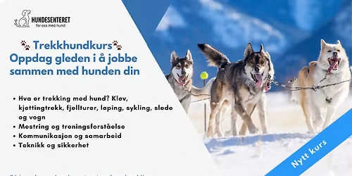  Trekkhundkurs (FULLT)
