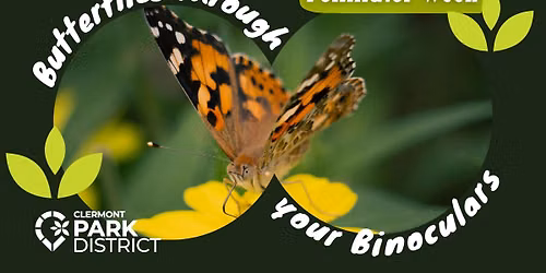 Butterflies Through Your Binoculars