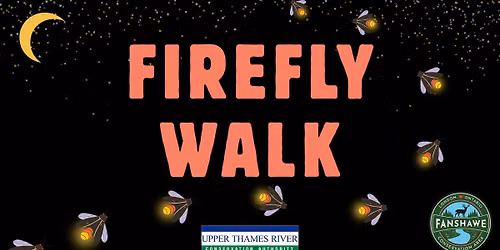 Firefly Walk
