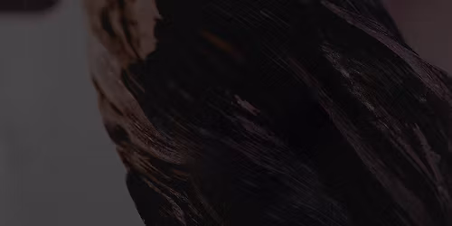 Pixies in \u6e2f\u533a