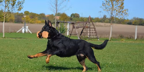 FRPK Obedience verseny