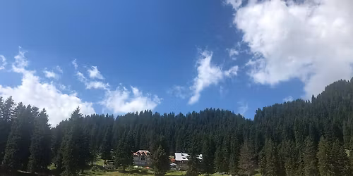 Platoul Padina
