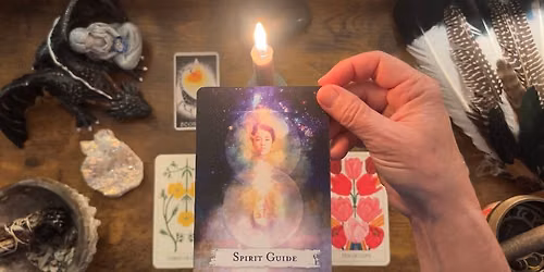Cosmic Wildflower Connection