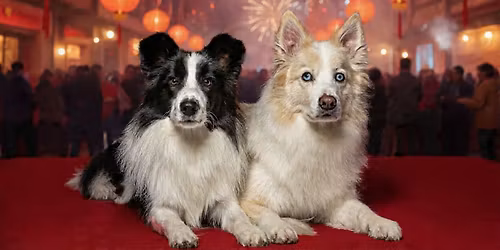 New Years DiscDogathon World Qualifier