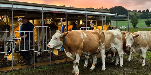 \u3010\u30d1\u30ea\u304b\u3089\u30dc\u30f3\u30fb\u30bd\u30ef\u30fc\u30eb!\u3011\u301c\u738b\u9053\u30c1\u30fc\u30ba\u306e\u98df\u3079\u6bd4\u3079\u301c