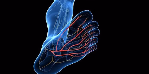 THE ROOT CAUSE OF NEUROPATHY