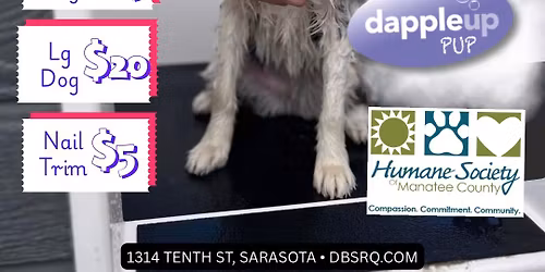 Charity Bath Day at Dog Bar Sarasota 