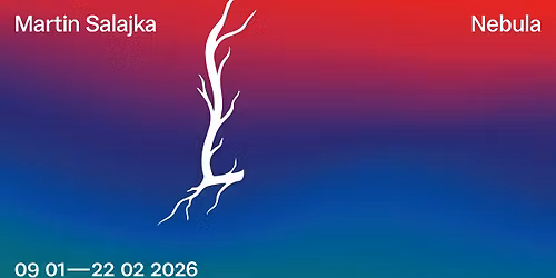 Vernis\u00e1\u017e v\u00fdstavy Martina Salajky: Nebula