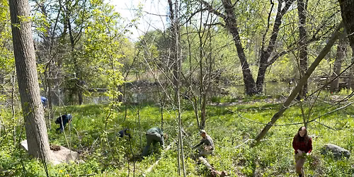 Ecosteward Workday at Rockford Dog Park (June)